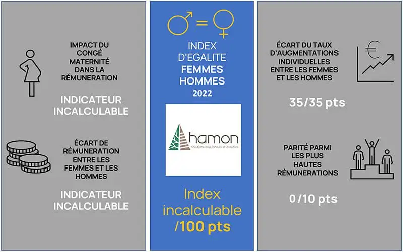 index hamon scieriebretagne